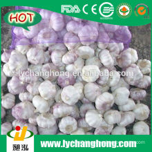 2014 Jinxiang New Fresh White Garlic Market Price